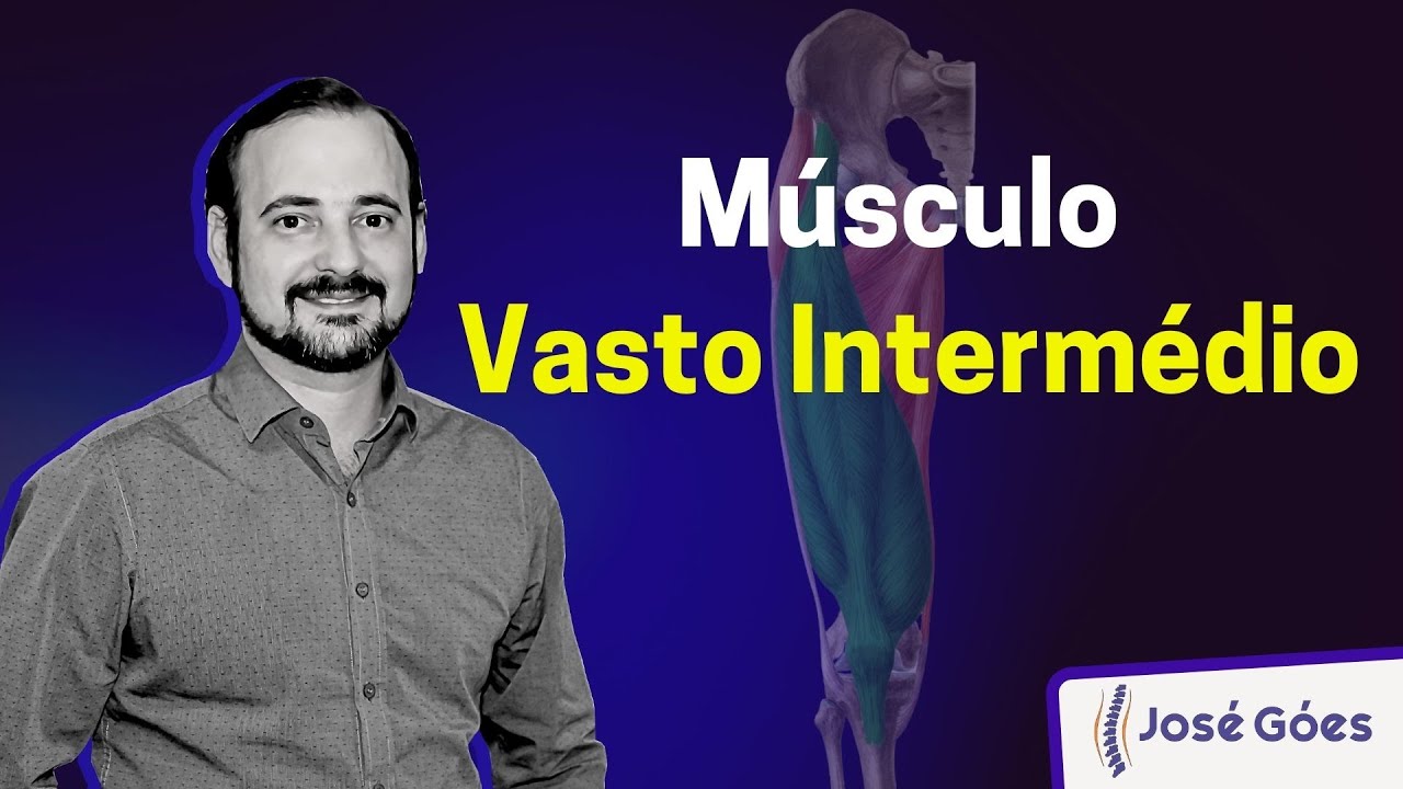 Músculo Vasto Intermédio | José Góes
