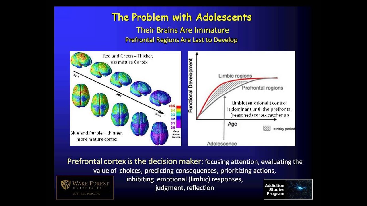 Webinar: Supporting Recovery from Alcohol or Drug Addiction