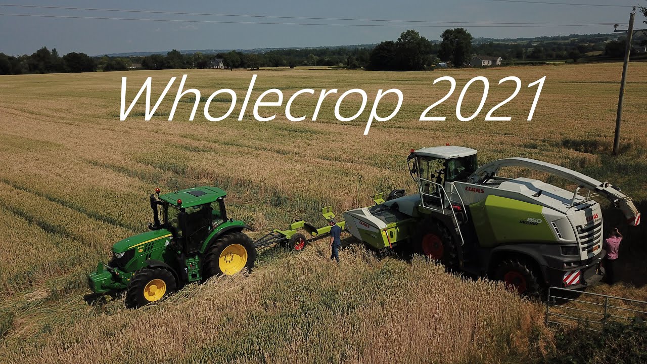 Connolly farms wholecrop 2021