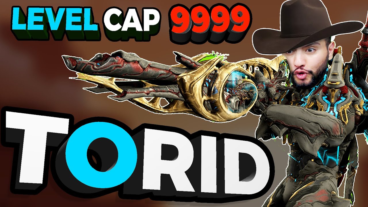Broken TORID Incarnon Build | Melts Level Cap 9999 [Warframe]