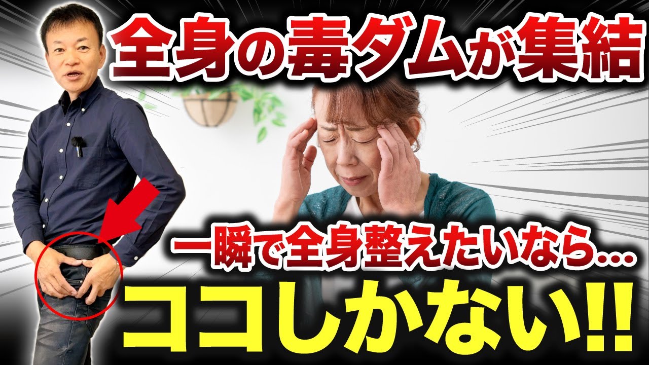【触れるだけで全身の毒ダムが大開放】←ビビるほど全身が整います。