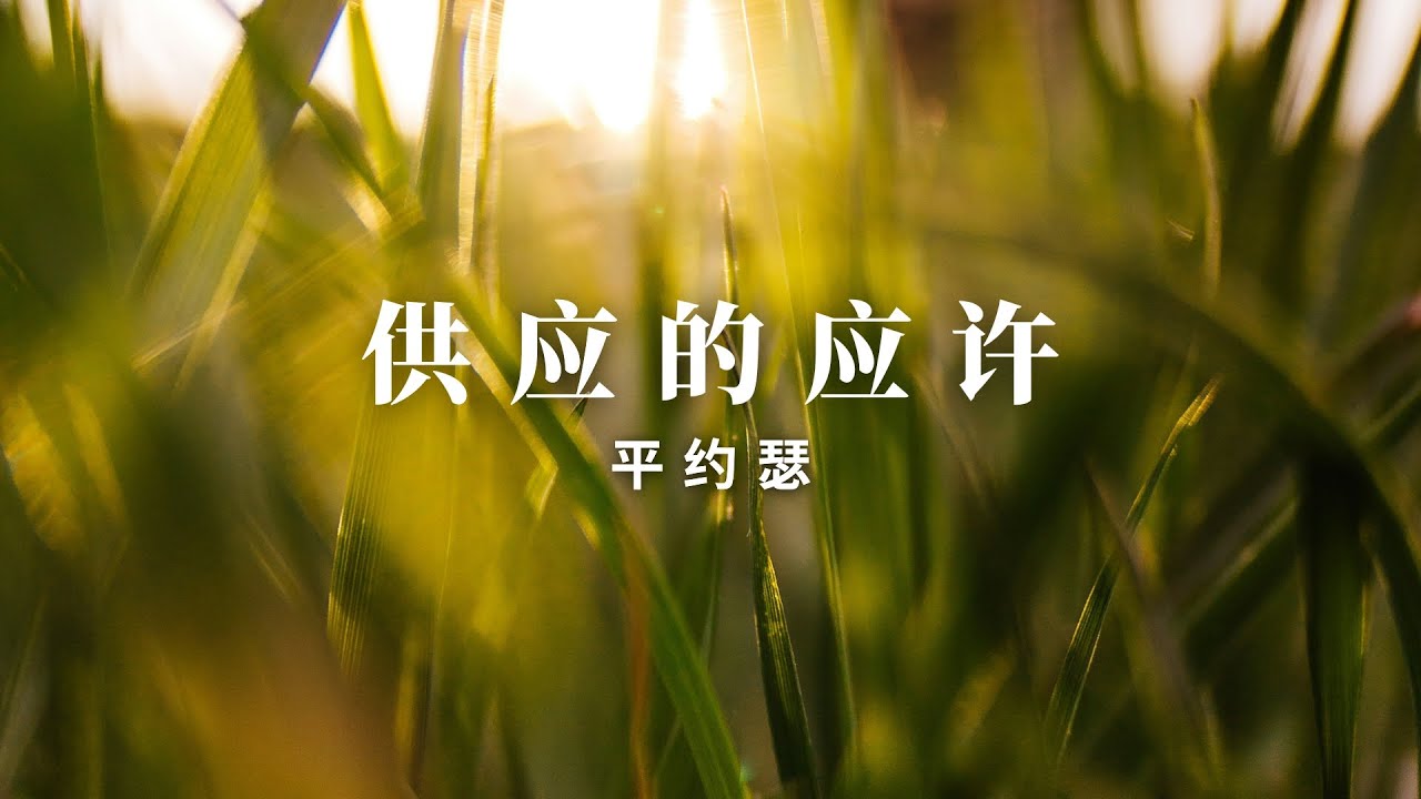 供应的应许 | 平约瑟 | Provision Promises (Read In Chinese/Mandarin)