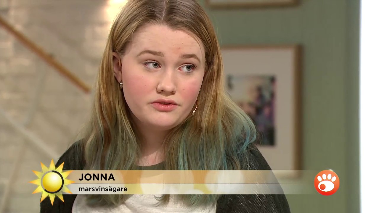 Det här barnens favoritdjur - Nyhetsmorgon (TV4)