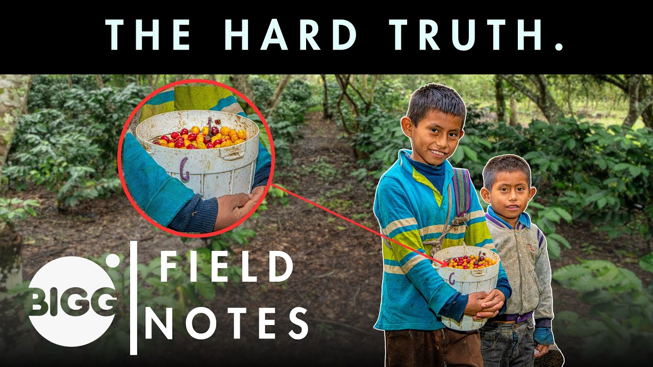 An Honest Discussion about Child Labor | Field Notes