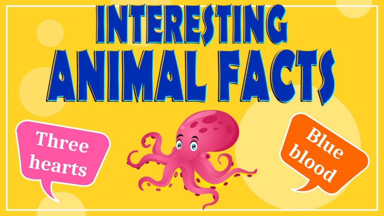 Interesting Animal Facts: We Bet You Didn&rsquo;t Know! | Animal Facts for Kids