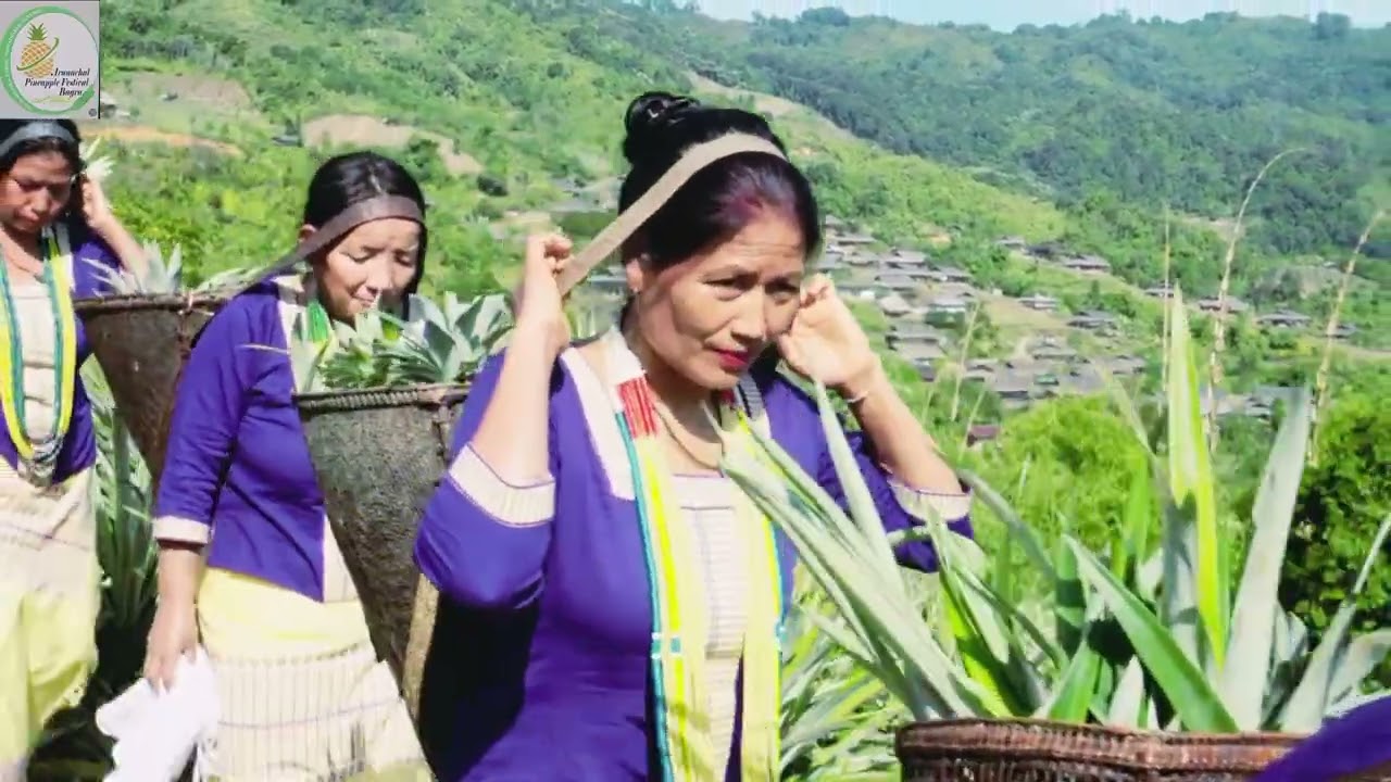 Arunachal Pineapple Festival-Bagra 3.0