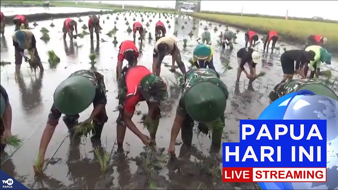🔴LIVE - BERITA PAPUA HARI INI 27 OKTOBER 2025