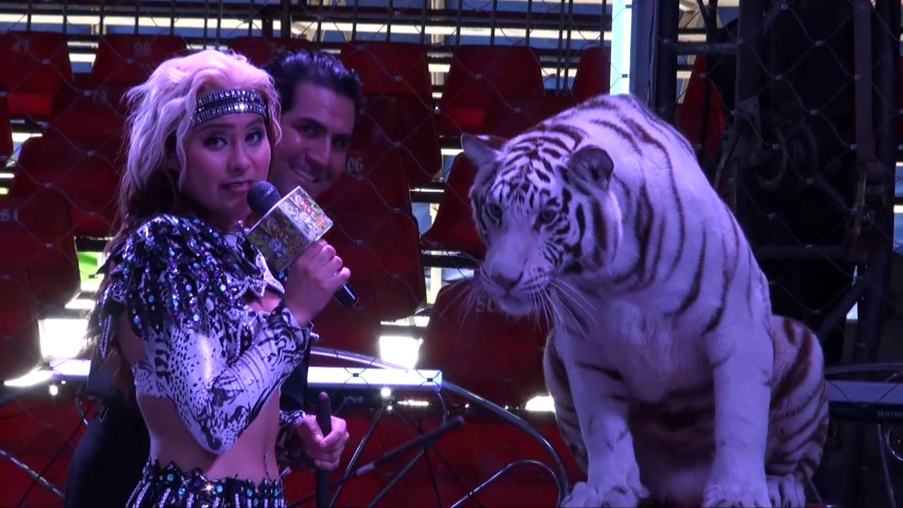 28 Nickitta  Entrevistando a su papa HD