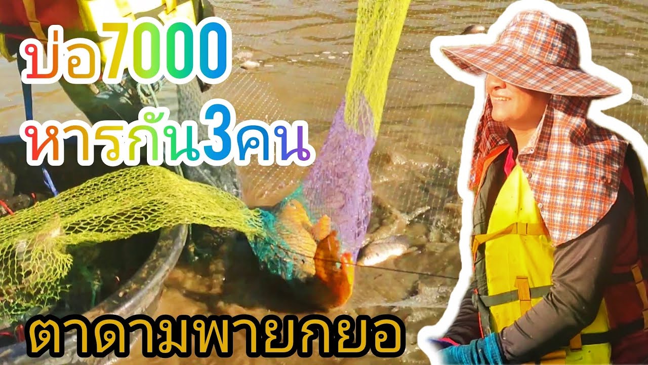 บ่อ7000หารกัน3คนม่วนๆหมานๆครับ