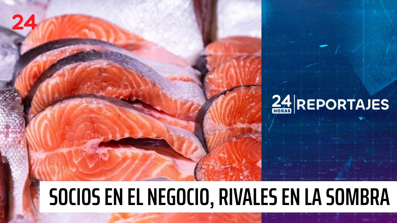 Salm&oacute;n: &ldquo;Cooperaci&oacute;n en superficie, guerra bajo el agua&rdquo; | 24 Horas TVN Chile