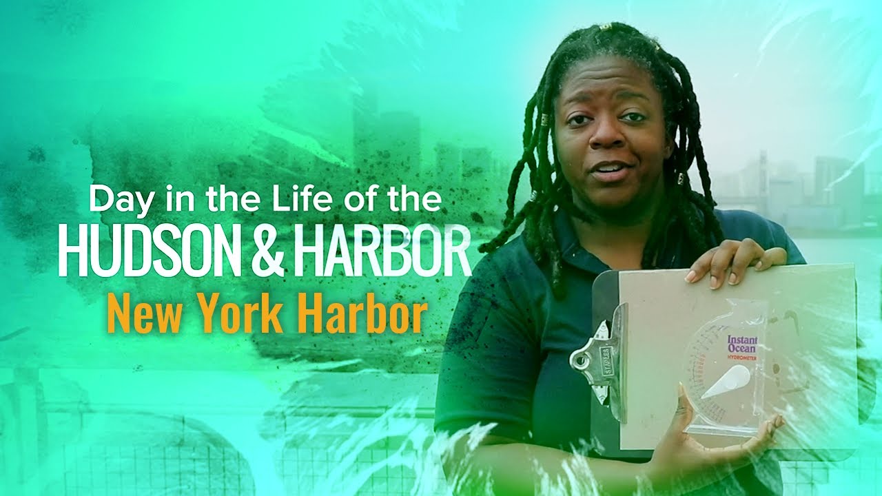 New York Harbor: Day in the Life of the Hudson & Harbor