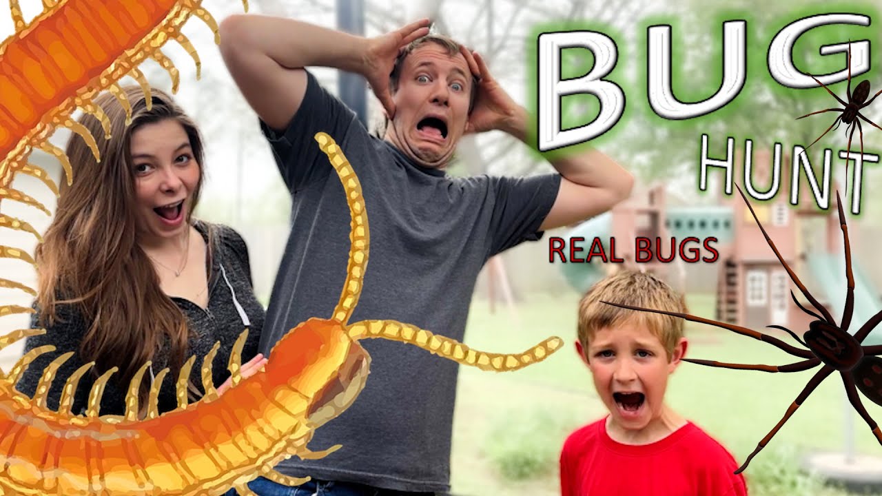 BUG HUNT for REAL BUGS!! Centipede, SPIDER, Beetles, LIZARD, Roly Polys & MORE for KIDS!!