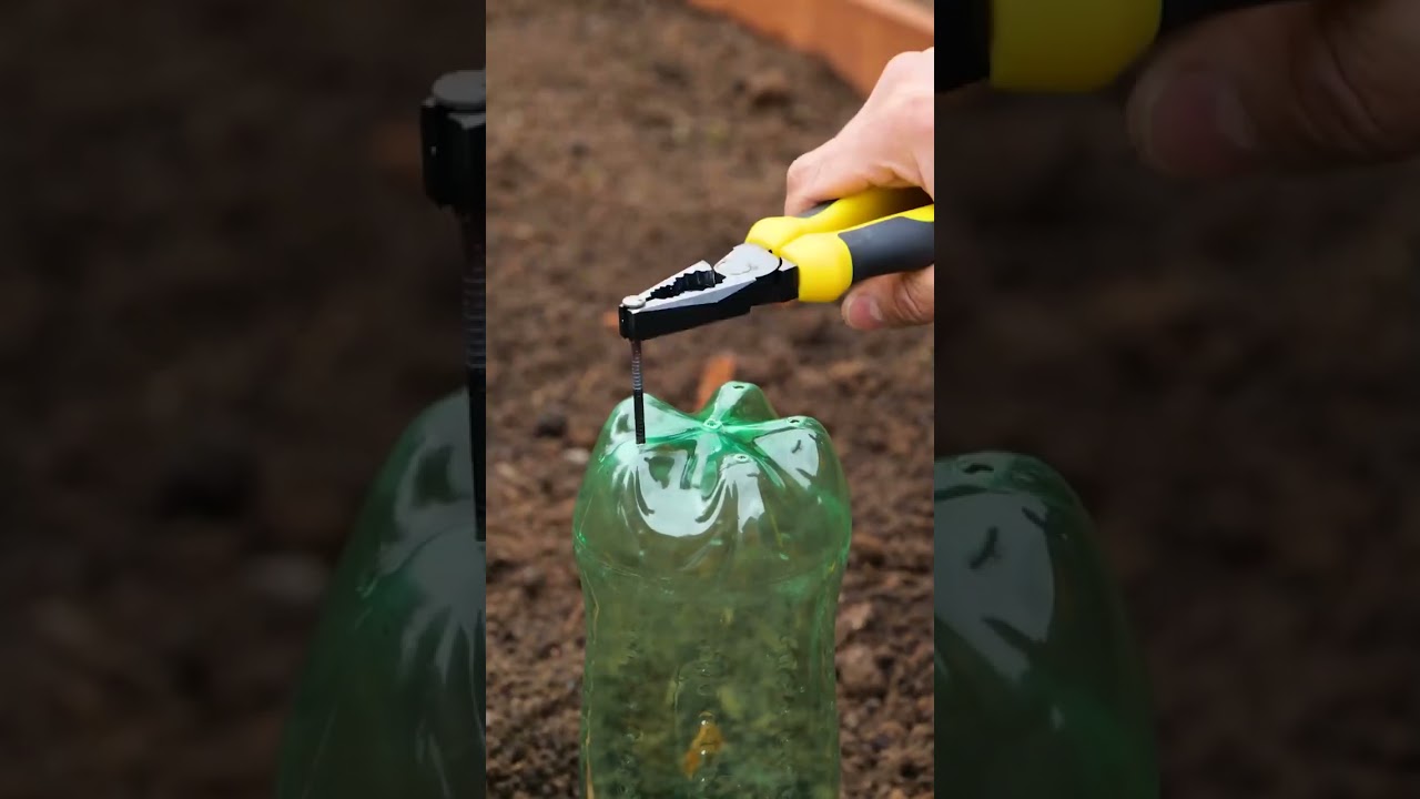 Backyard Bliss: 2025's Funkiest Garden Hacks! 🌼✨