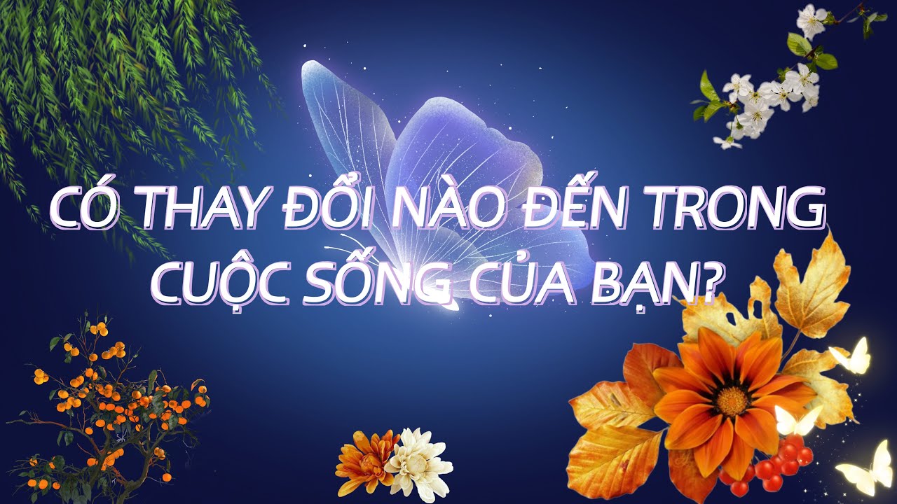 CÓ THAY ĐỔI NÀO ĐANG ĐẾN TRONG CUỘC SỐNG CỦA BẠN KHÔNG 🤩🧜‍♀️👘 Người đưa thư #217