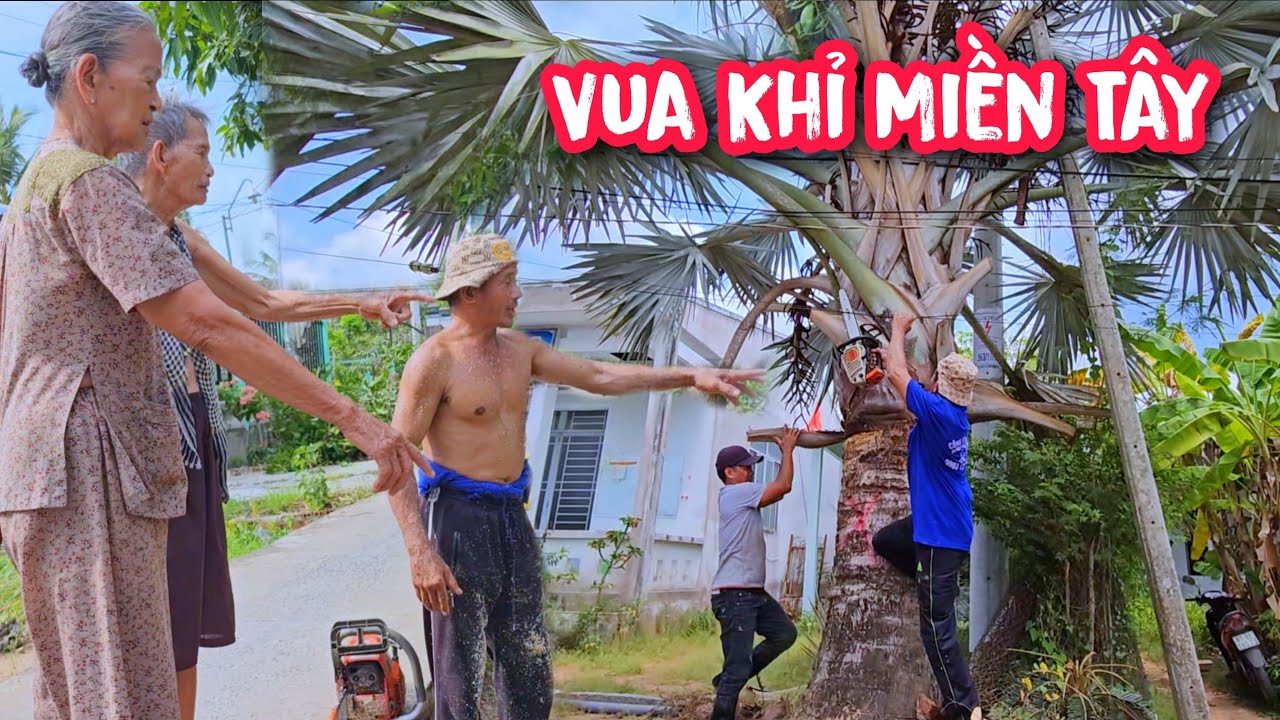 Tại sao ??? Vua Khỉ cưa cây nguyên đoạn đường Ấp An Lạc lại không lấy tiền người dân.