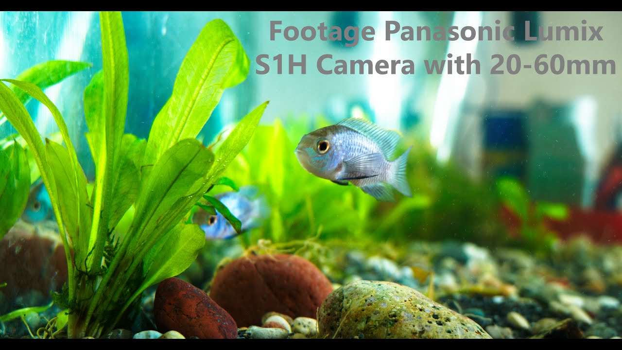 Footage Panasonic Lumix S1H Camera with 20-60mm Lens