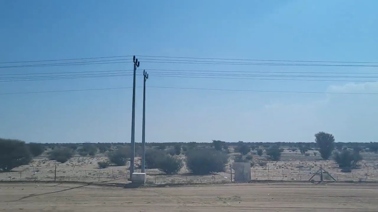 Camel and Desert