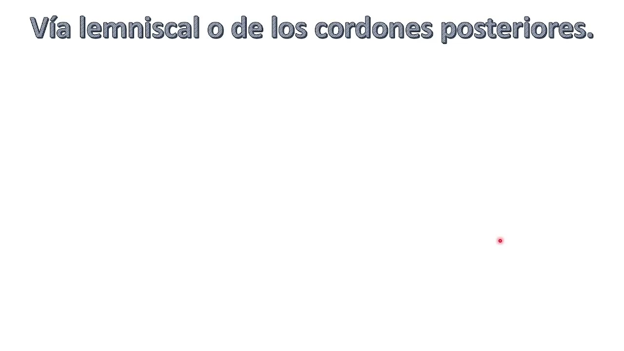 VIA DE LOS CORDONES POSTERIORES