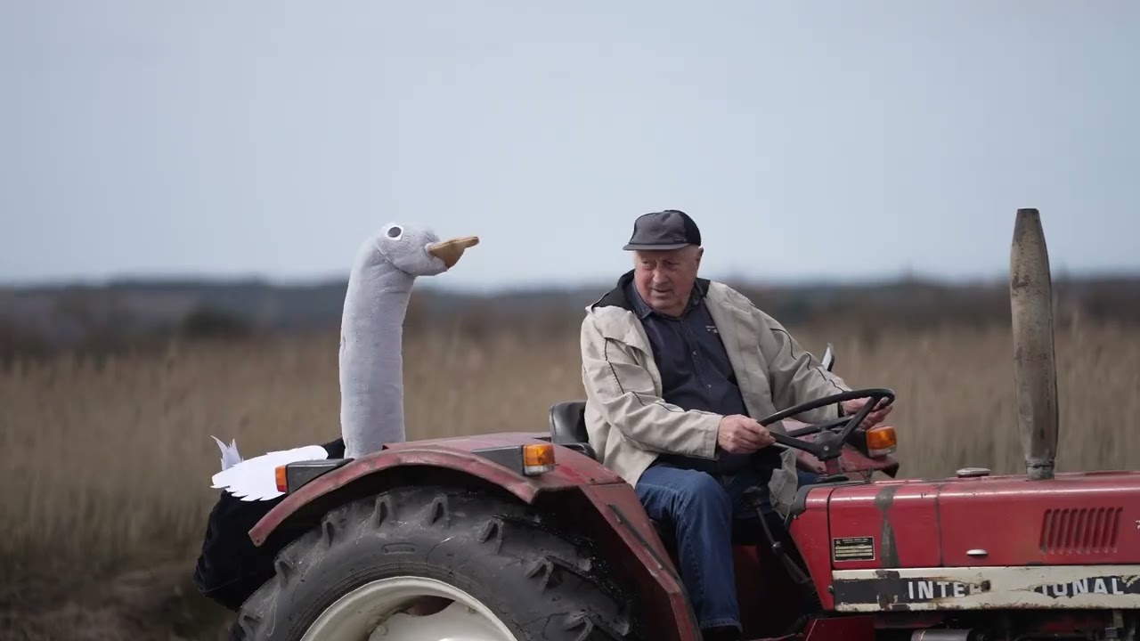 CLIP L’île D’Olonne - Avicci