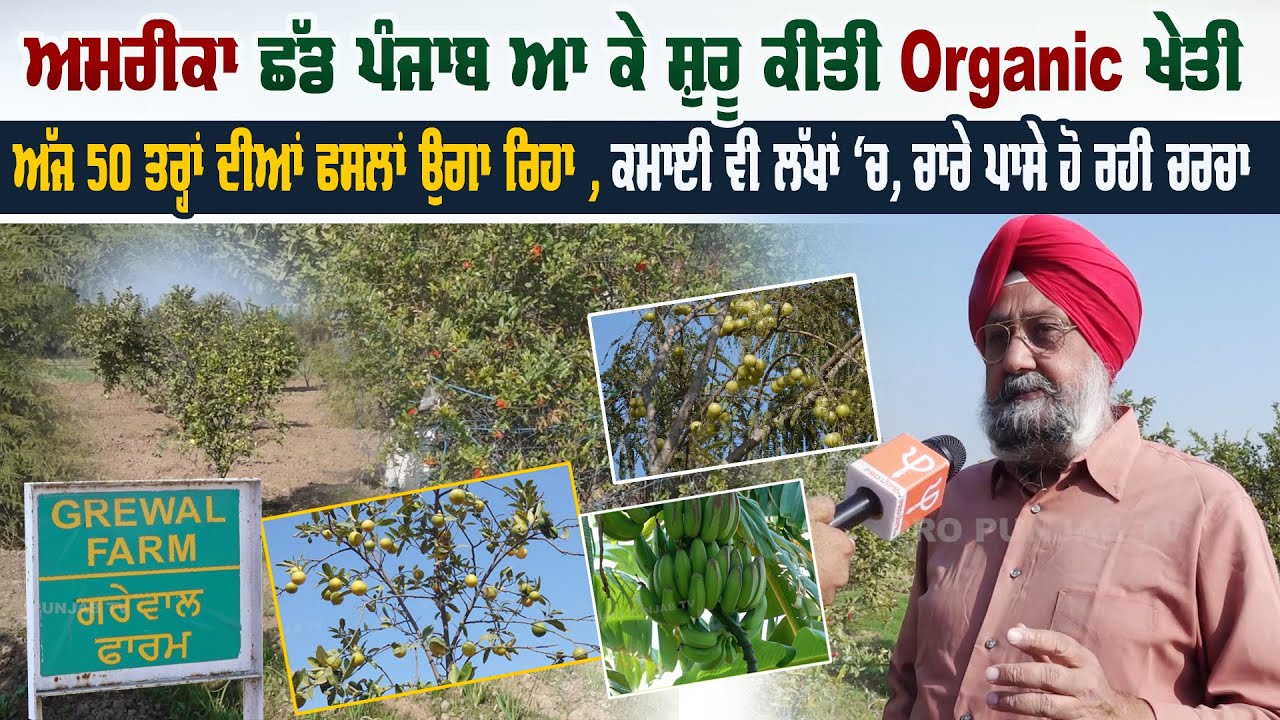 America ਛੱਡ Punjab ਆ ਕੇ ਸ਼ੁਰੂ ਕੀਤੀ Organic ਖੇਤੀ, ਅੱਜ 50 ਤਰ੍ਹਾਂ ਦੀਆਂ ਫਸਲਾਂ ਉਗਾ ਰਿਹਾ