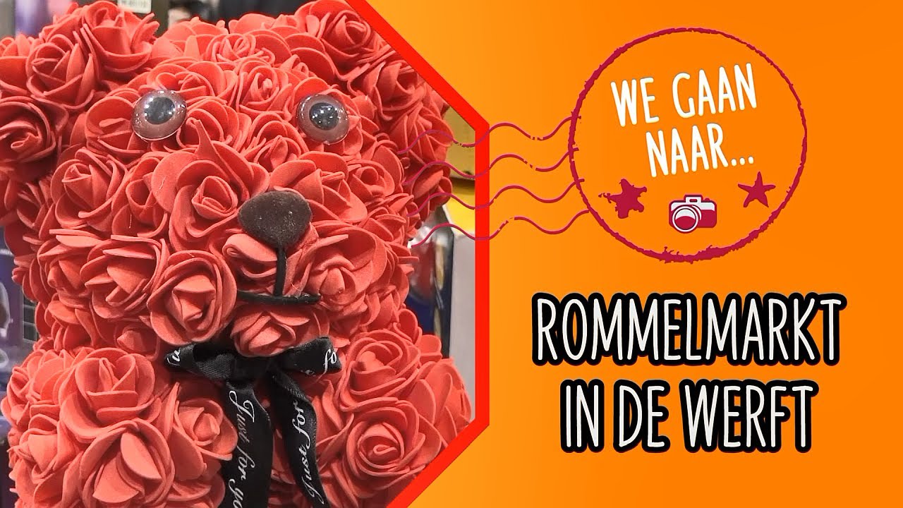 Rommelmarkt in De Werft Kaatsheuvel 2025 (We gaan naar...) - Langstraat TV