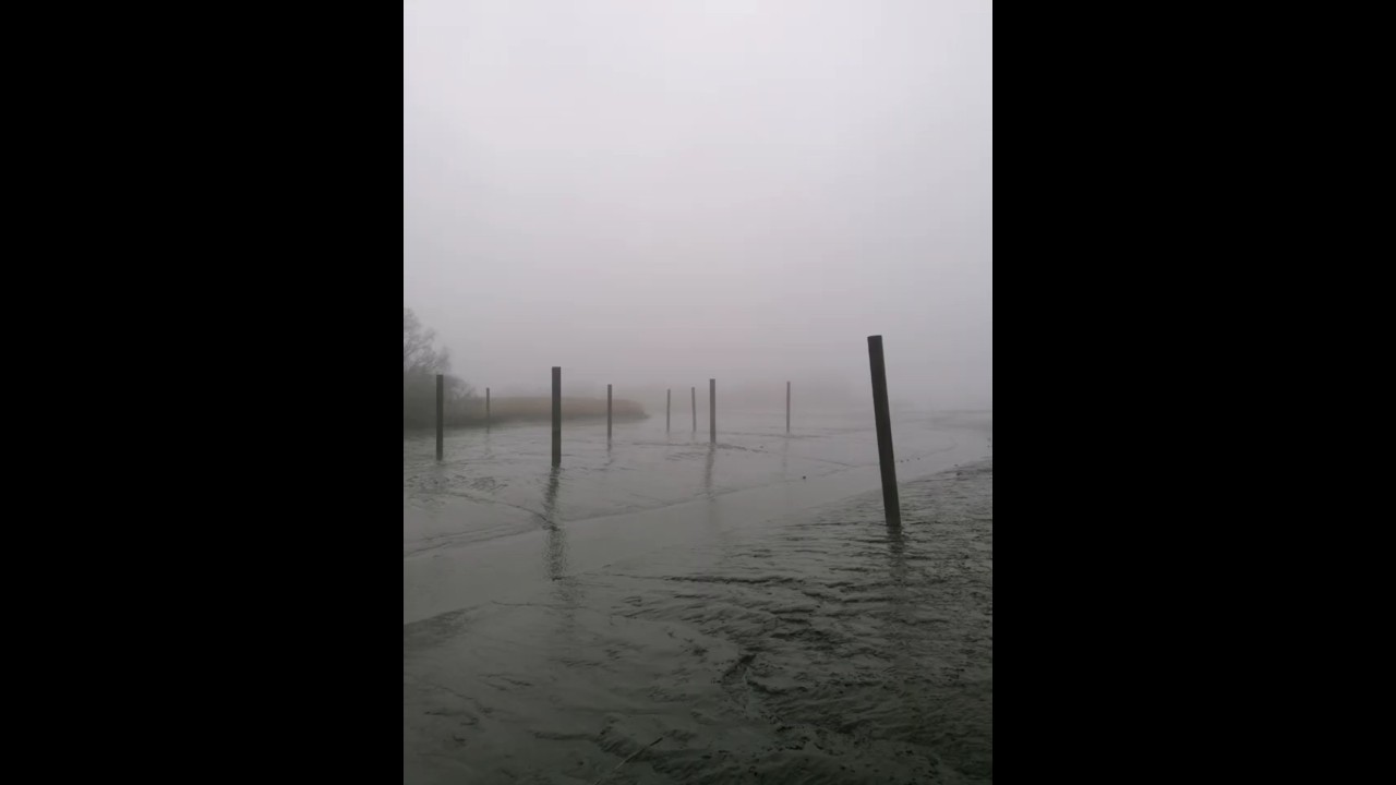 Sonntagsausflug in die mystische graue und eisige Welt der Haseldorfer Marsch