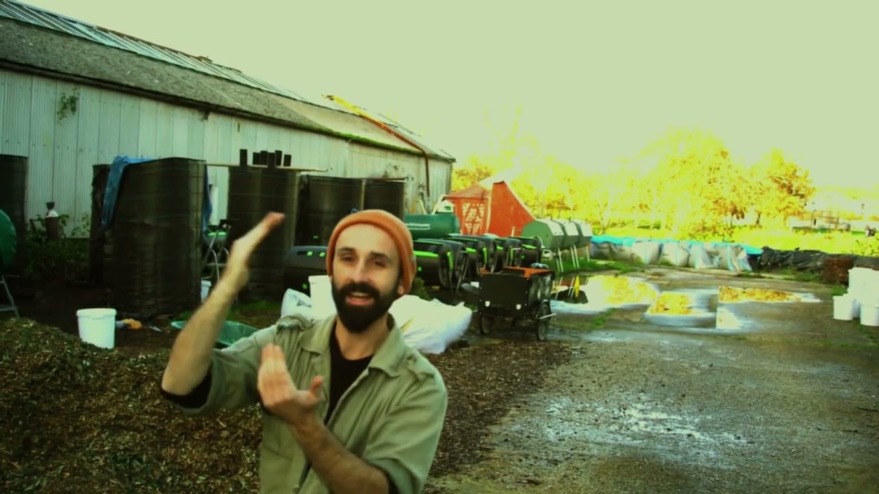 Living Compost - a day with Compost Club
