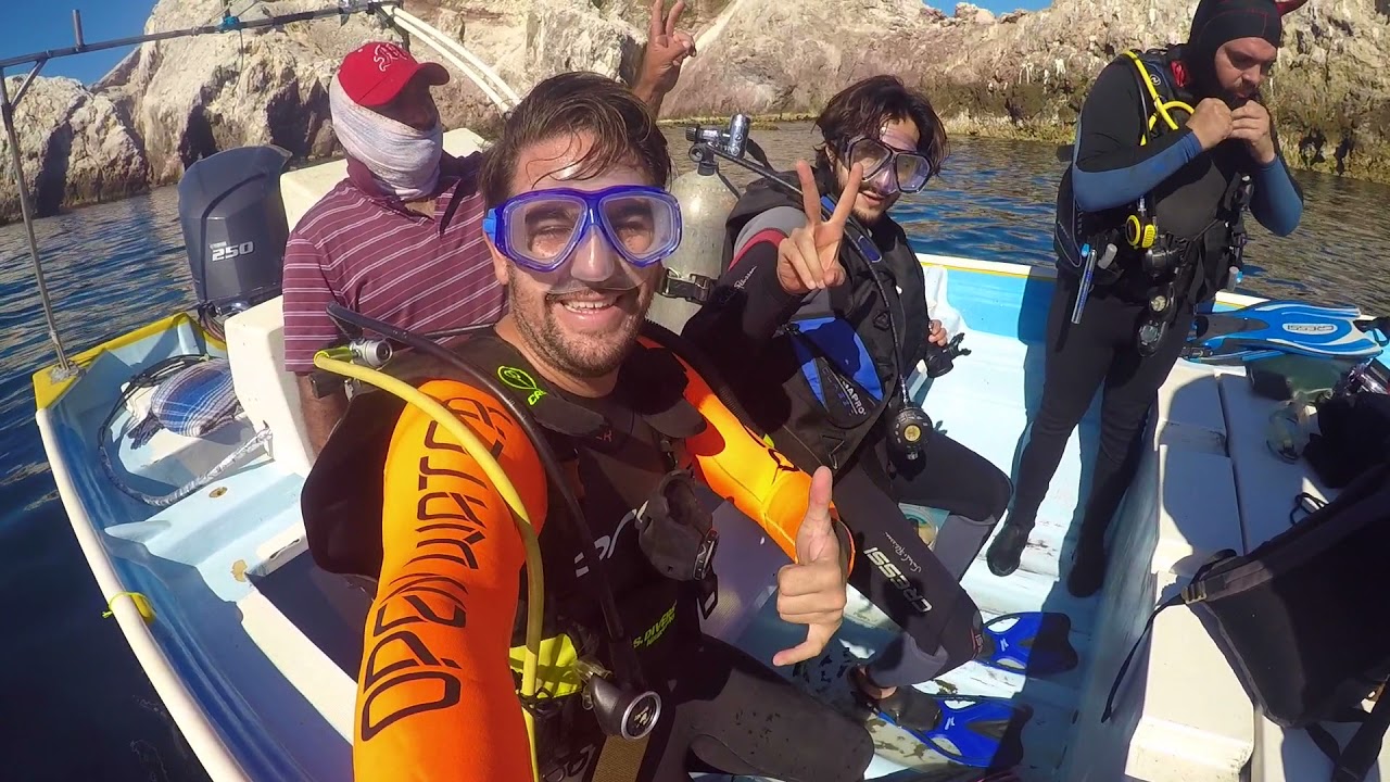 Buceando con lobos marinos en El Farall&oacute;n, Topolobampo.