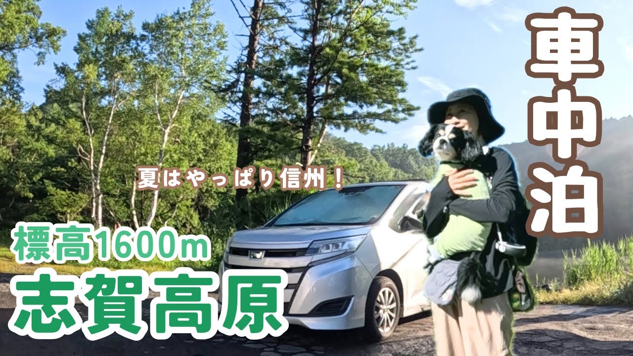 夏はやっぱり信州！池のほとりで車中泊する50代看護師と犬と車中泊。真夏の志賀高原はまるで天国。快適夏の車中泊旅。2泊3日志賀高原草津ルート車中泊の旅。前編。木戸池温泉ホテル