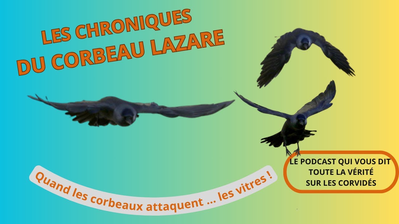 Quand les 