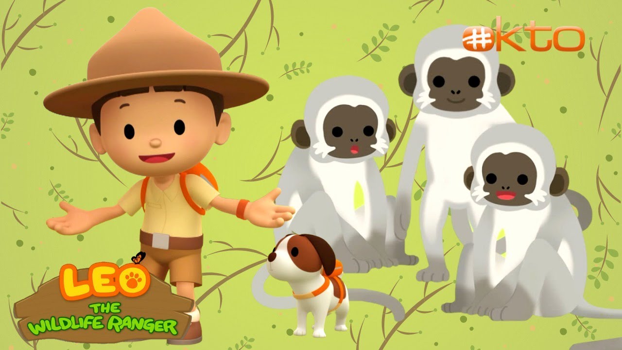 Leo the Wildlife Ranger | HOW NAUGHTY MONKEYS STEAL FOOD🐒 |Full Episode | 