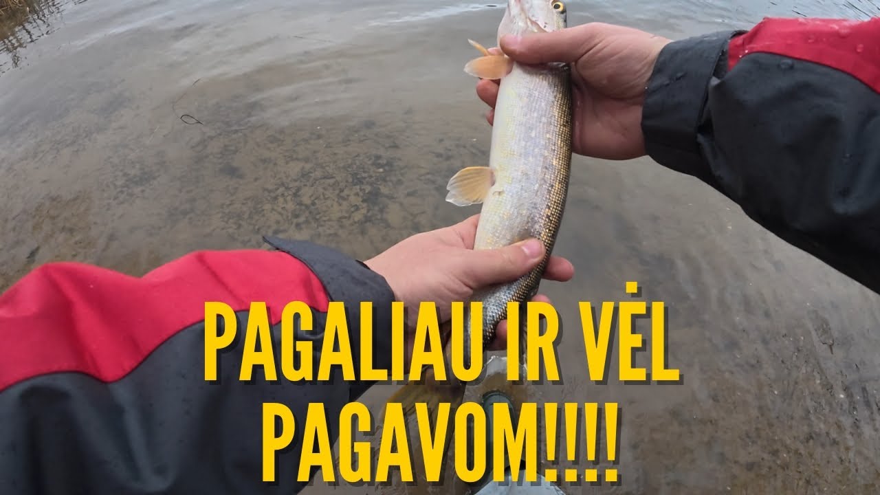 TVENKINYS X !!!  #18 Vlogas, EŠERIAI IR AŠTRIADANTĖ !!!