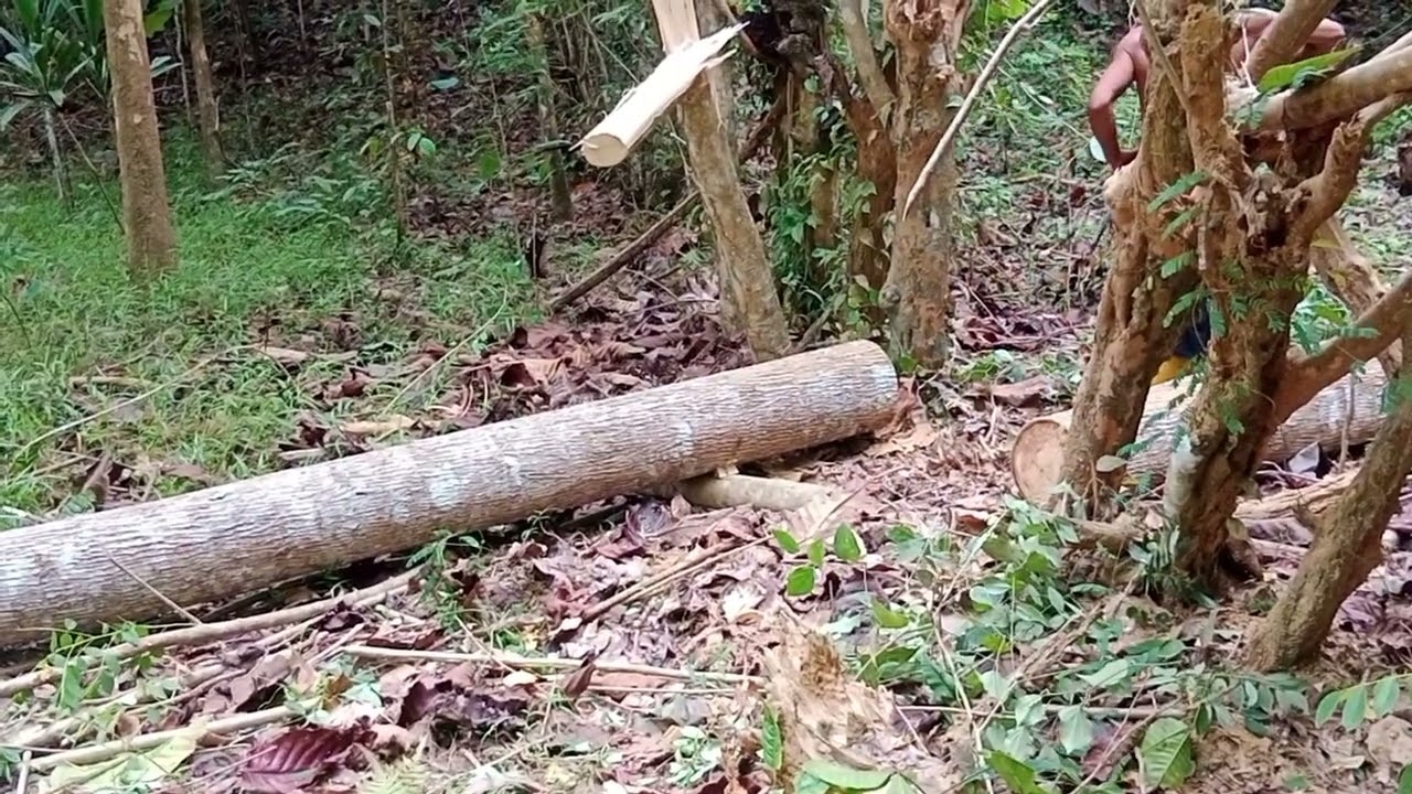 Memotong dengan gergaji mesin tanpa jeda