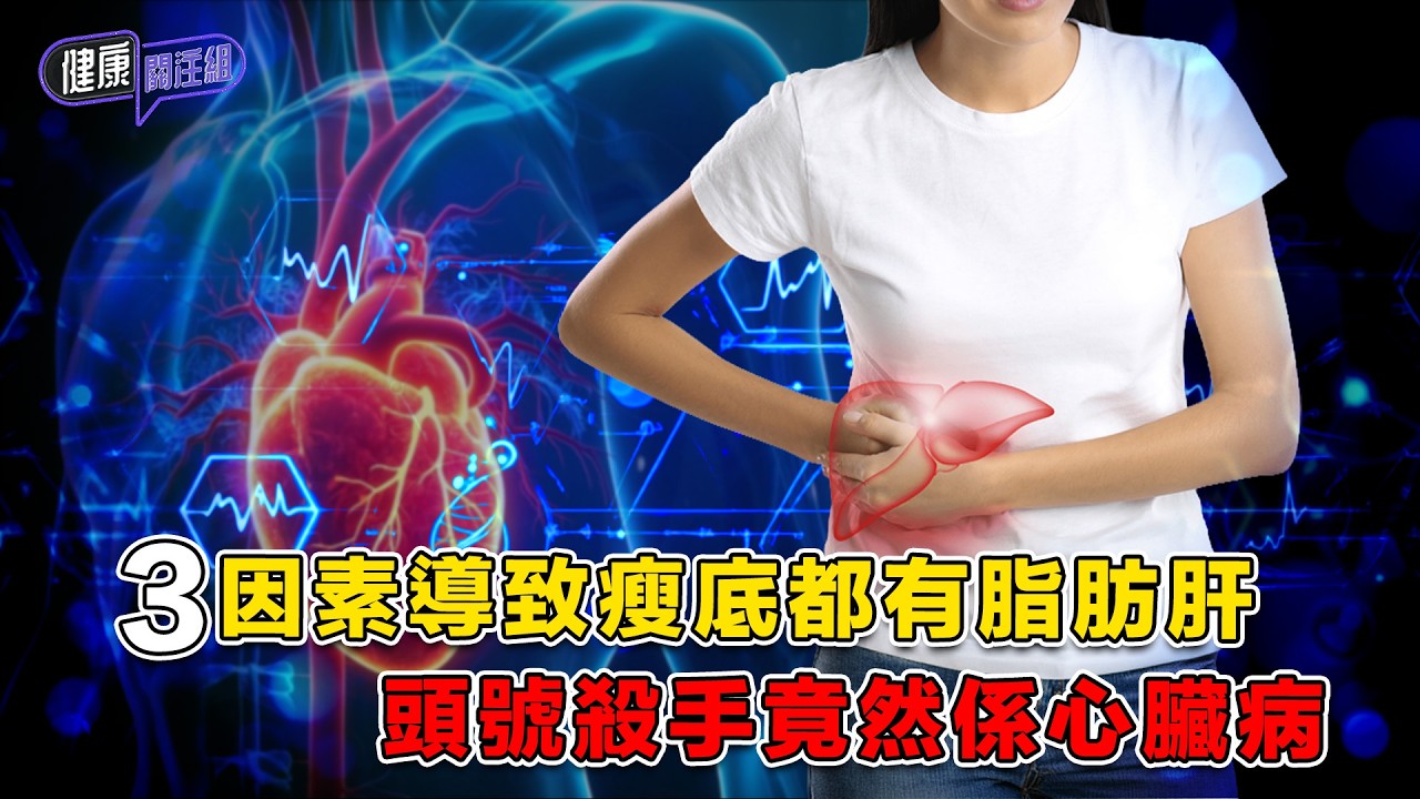 3因素導致瘦底都有脂肪肝 頭號殺手竟然係心臟病 ｜ 健康關注組 ｜ EP532 ｜ 脂肪肝 ｜ 肝纖維化 ｜ 肝硬化 ｜ 心臟病 ｜ 黃芳雯 ｜ 麥詩敏 ｜ HOY TV 77台