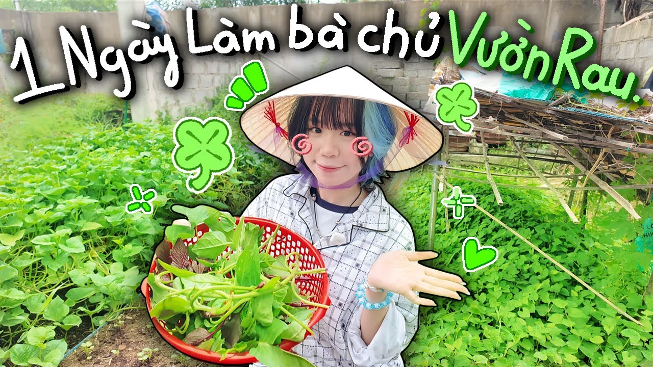 Mình 1 Ngày Làm Bà Trùm Nông Sản Vườn Rau Tại HUẾ 🥬