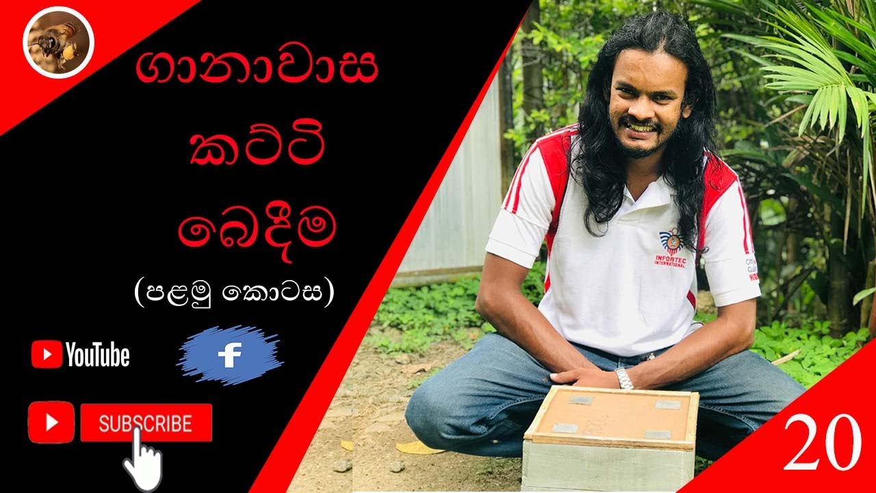 ගානාවාස කට්ටි බෙදීම (පළමු කොටස)