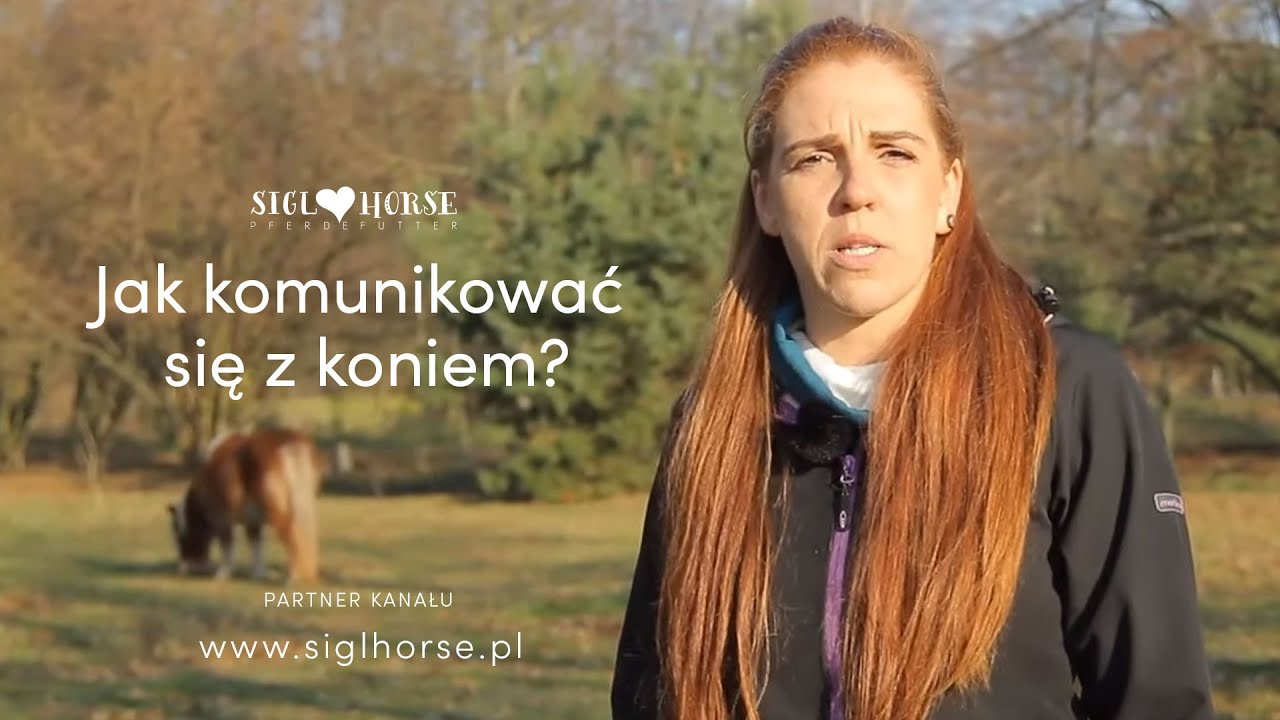 Jak budować relacje z koniem? #1 Rozmówki Polsko - Końskie
