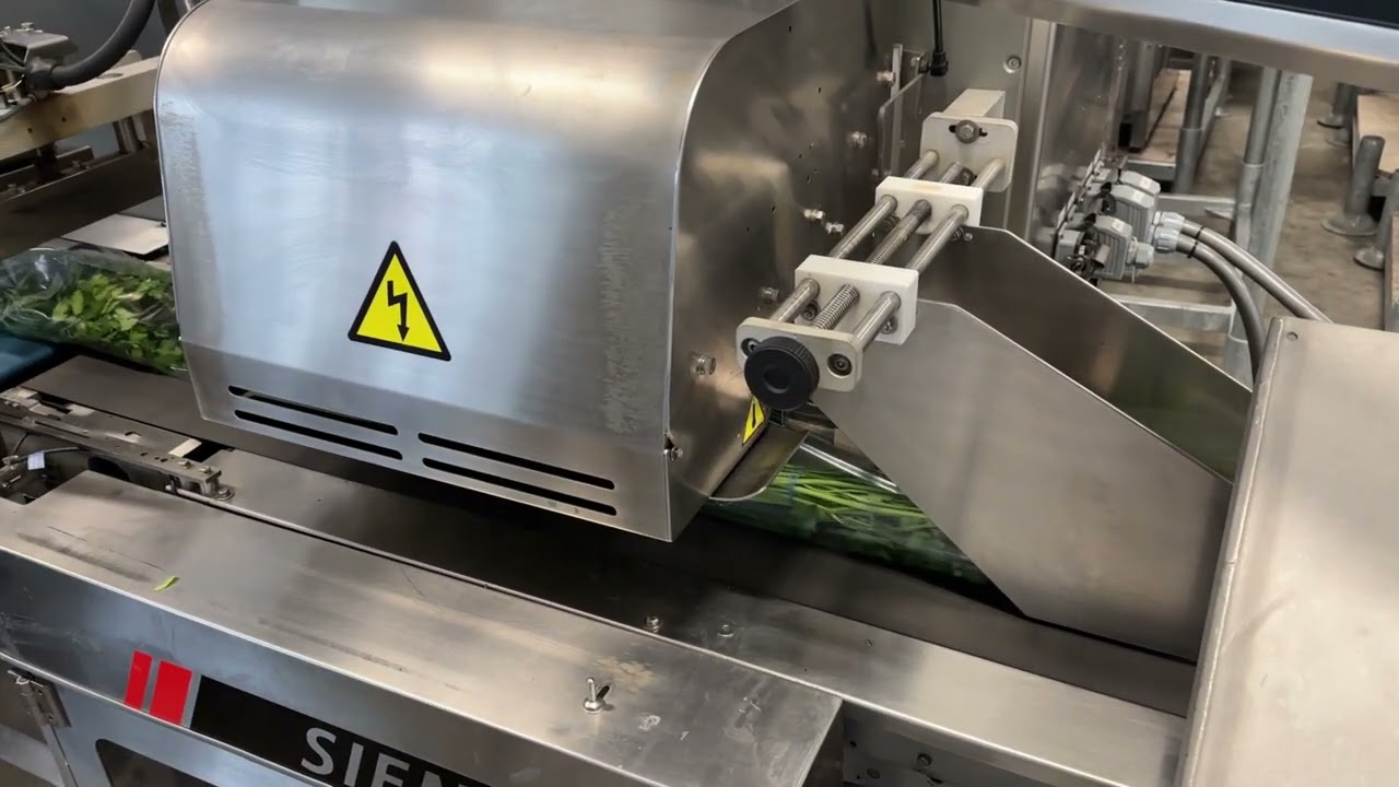 Ulma Sienna LS BI Flowpacker with conveyor