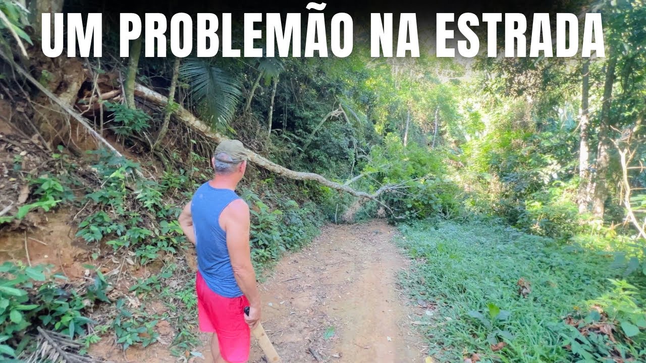 FOI DIFÍCIL CHEGAR AO SÍTIO HOJE/INCIDENTE E CALORÃO/Bora pra Roça?