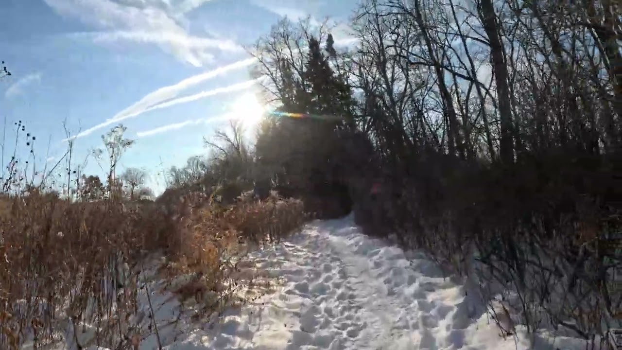 Snowshoeing around the UW Madison Arboretum