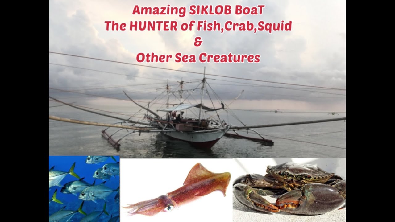 #Amazing SIKLOB Boat.The Hunter of Fish, Squid, Crab & Other Sea Creatures  Even Without Fish Finder