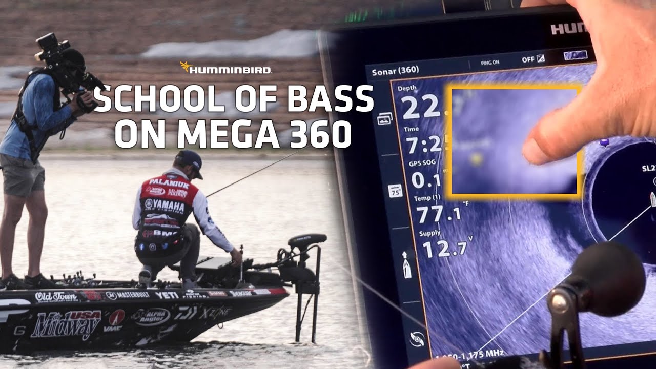 School of Bass on MEGA 360 - BASS Elite Lake Fork with Palaniuk