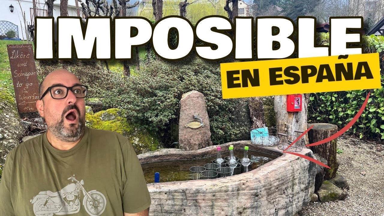 😱 ALUCINAMOS con la SELVA NEGRA en FURGONETA CAMPER