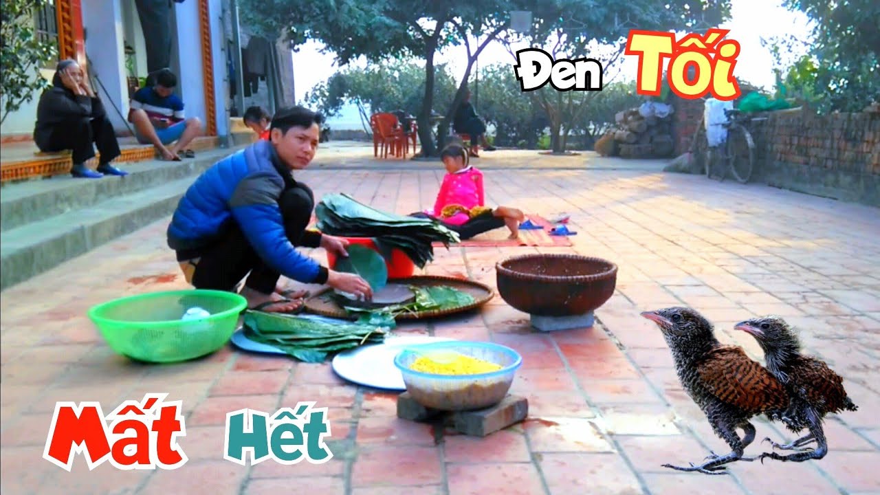 Mất Hết Chim Bìm Bịp Và Quãng Thời Gian Đen Tối Của Mình / Quế Nghịch