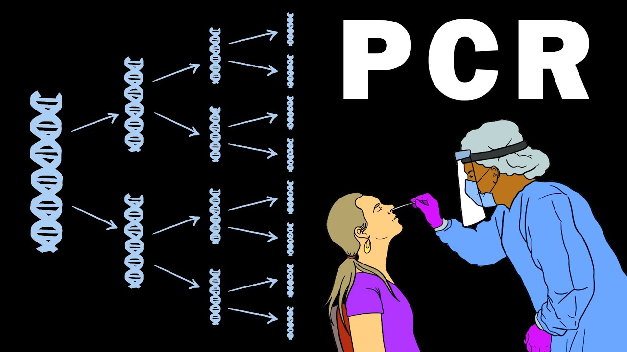 PCR - POLYMERASE CHAIN REACTION