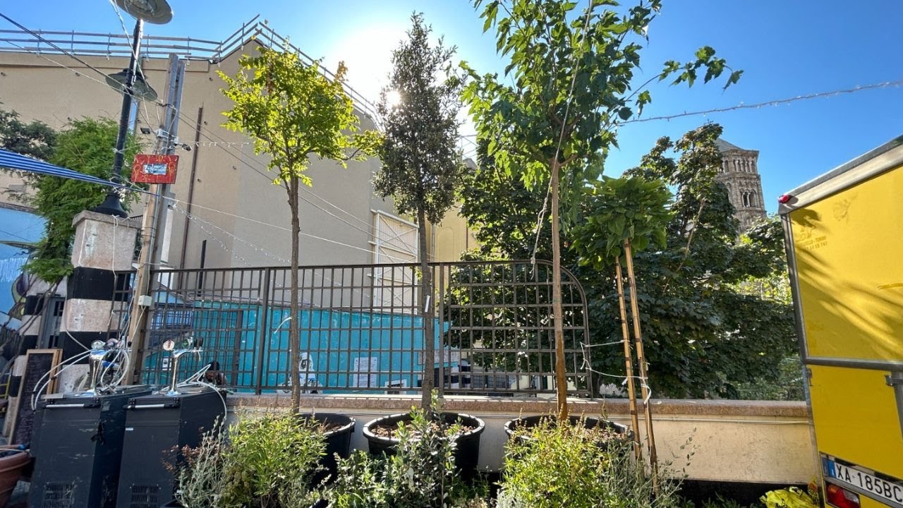 Arrivati i primi 12 di 100 alberi ai Giardini Luzzati