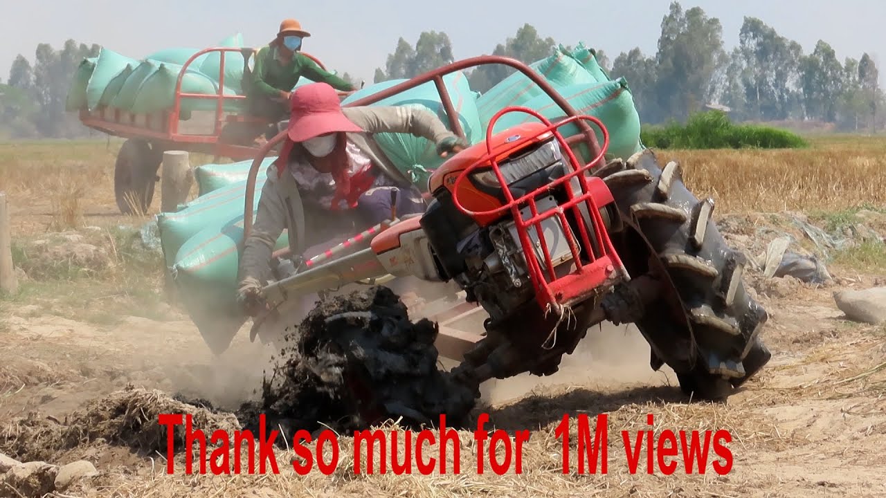 Team tractor Kubota ZT155&ZT140 transport rice across muddy canal | Tractor stuck at canal