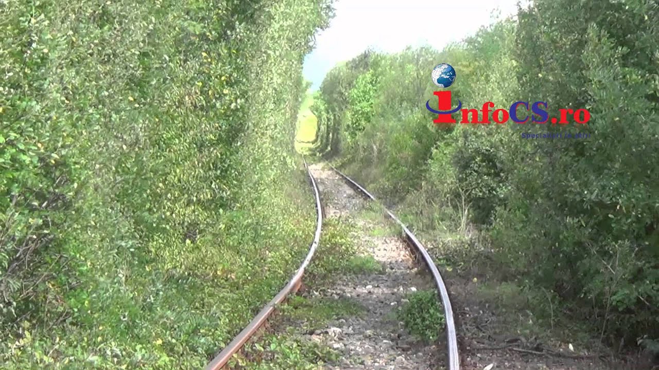 Tunelul vegetal - tunelul iubirii de la Obreja