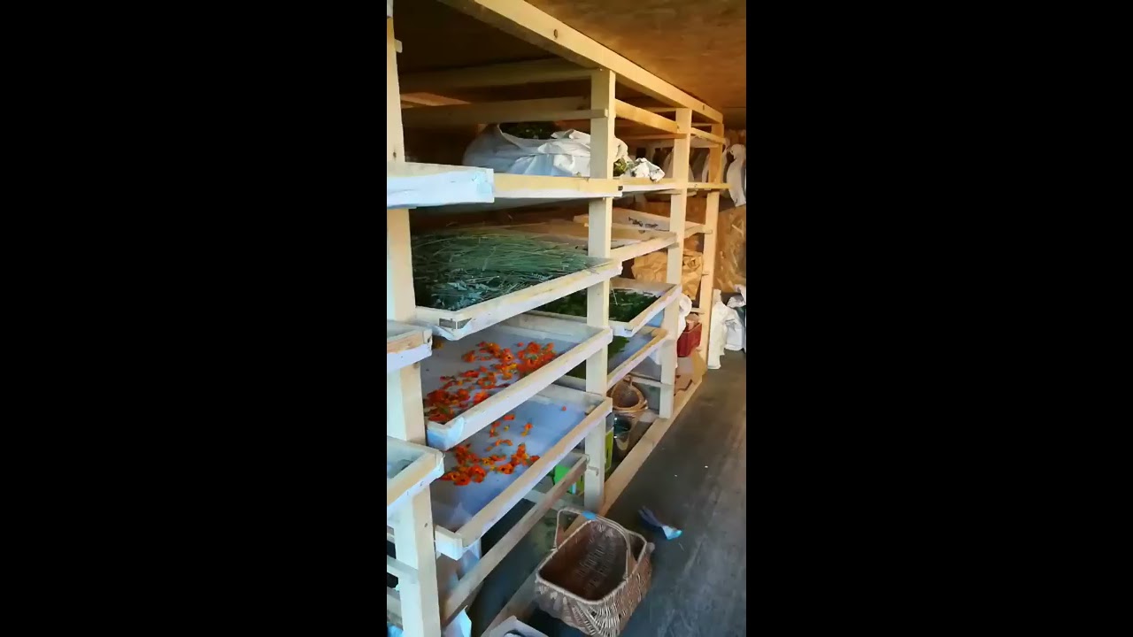 Séchage des Plantes sauvages et aromatiques dans mon séchoir fabriquer maison - LIVE