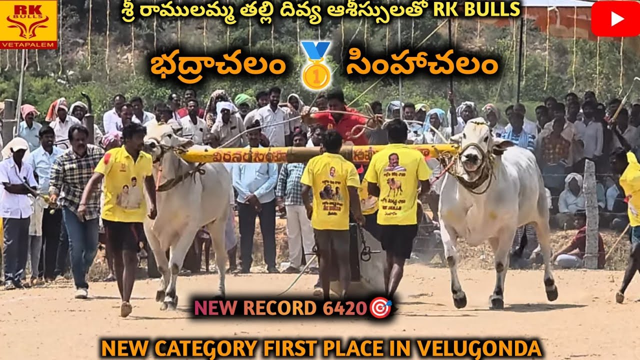 Simhachalam and Badrachalam won1st place in velugonda distance covered 6420